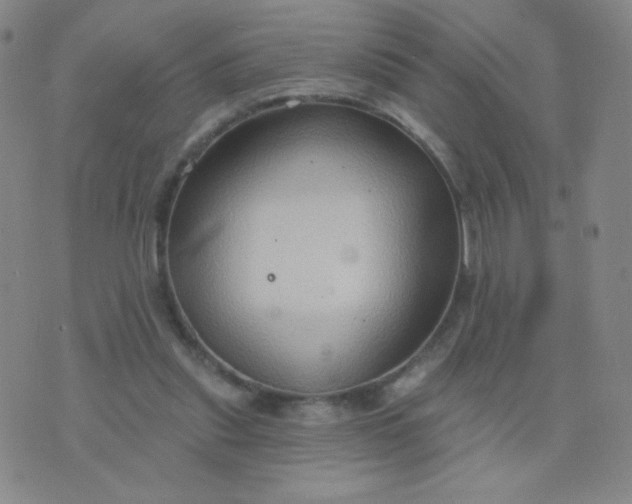 X0000076220253200610122057