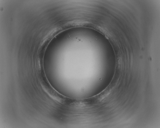 X0000076220254200610122057