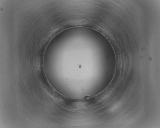 X0000076220255200610122057