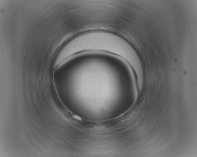 X0000076220256200610122057