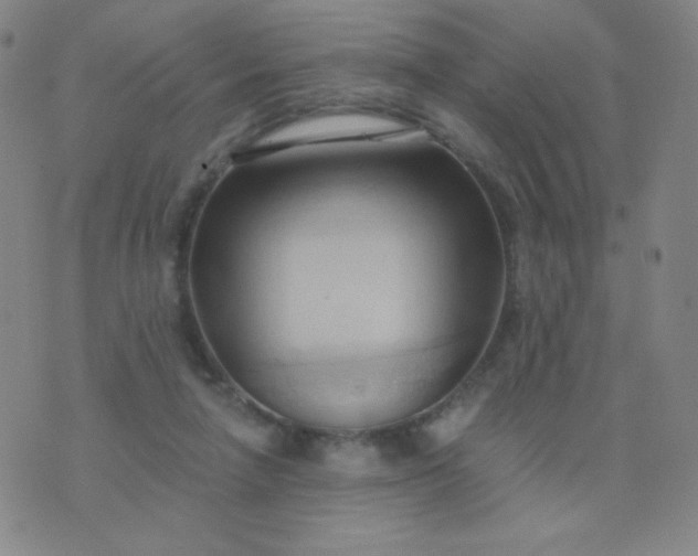 X0000076220258200610122057