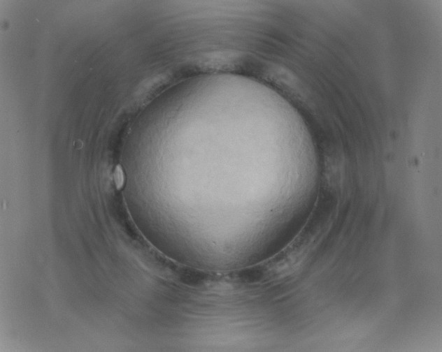 X0000076220259200610122057