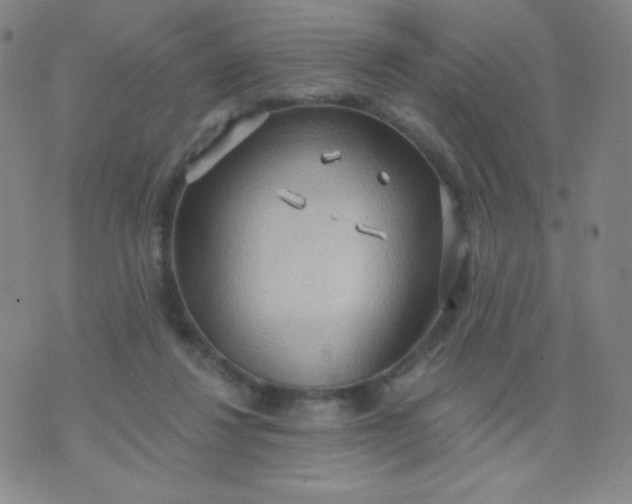 X0000076220260200610122057