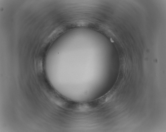 X0000076220262200610122057