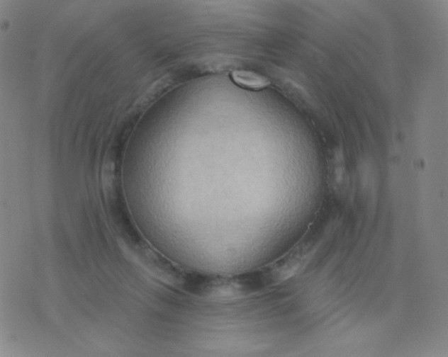 X0000076220263200610122057