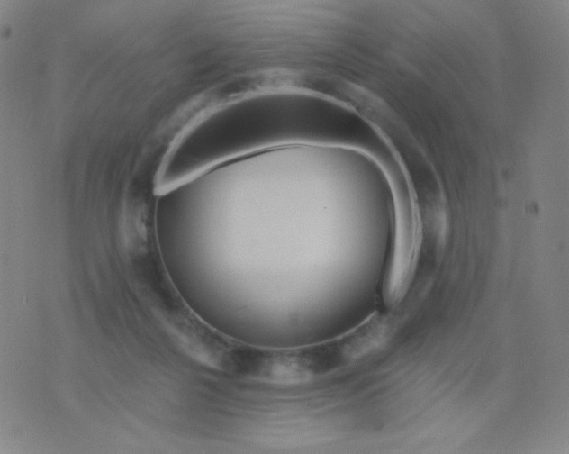 X0000076220264200610122057