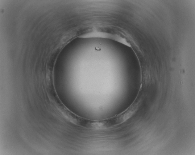 X0000076220265200610122057