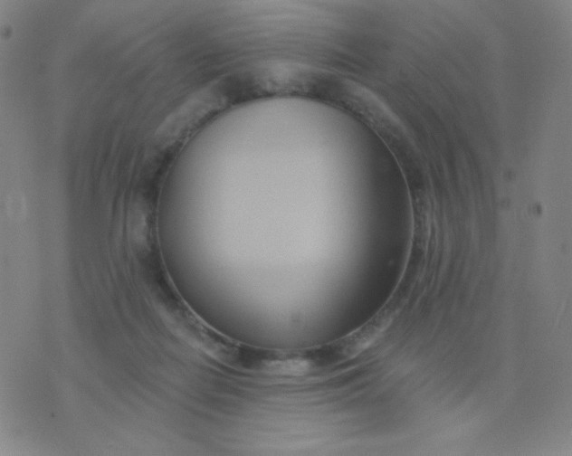 X0000076220266200610122057