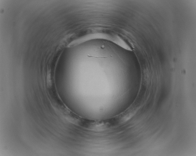 X0000076220267200610122057