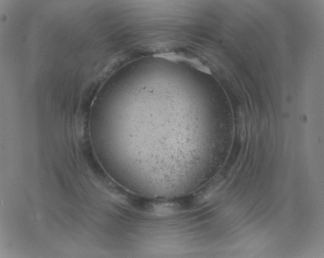 X0000076220268200610122057