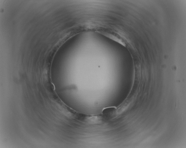 X0000076220269200610122057