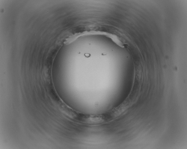 X0000076220270200610122057