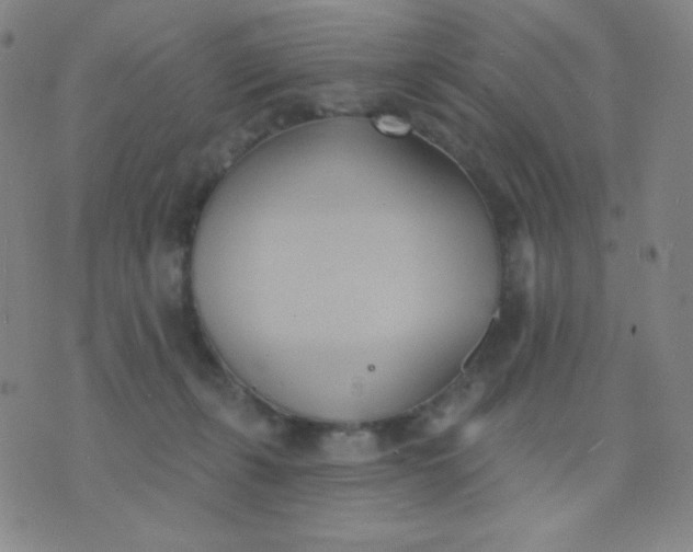 X0000076220271200610122057