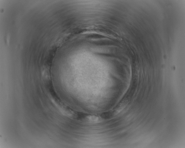 X0000076220272200610122057