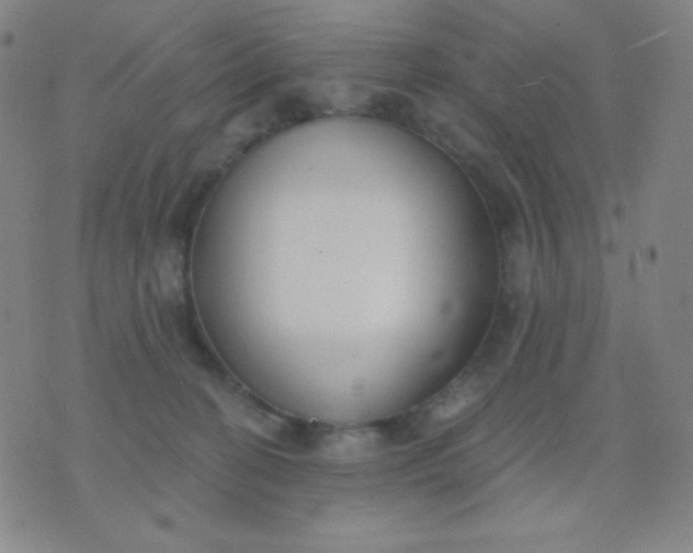 X0000076220274200610122057