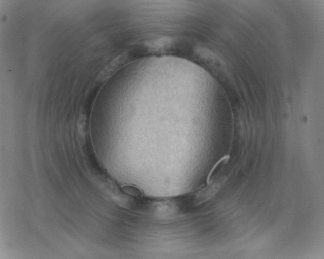 X0000076220275200610122057