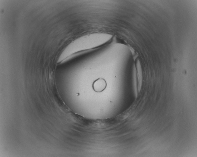 X0000076220276200610122057