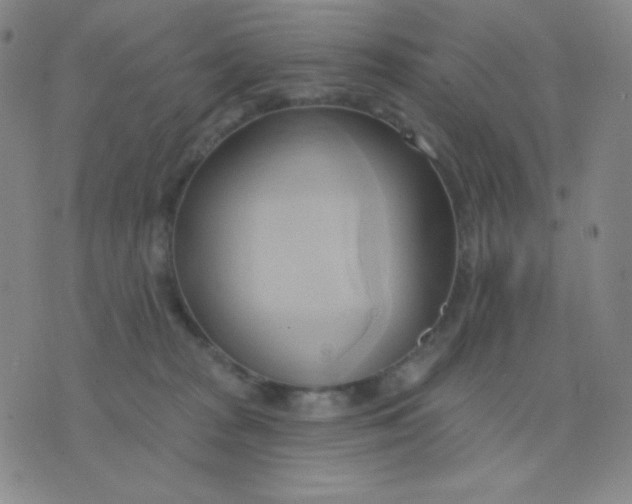 X0000076220277200610122057