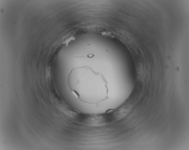 X0000076220278200610122057