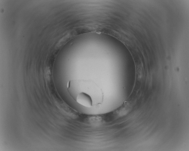 X0000076220279200610122057