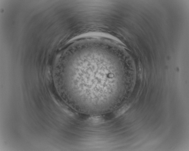 X0000076220280200610122057