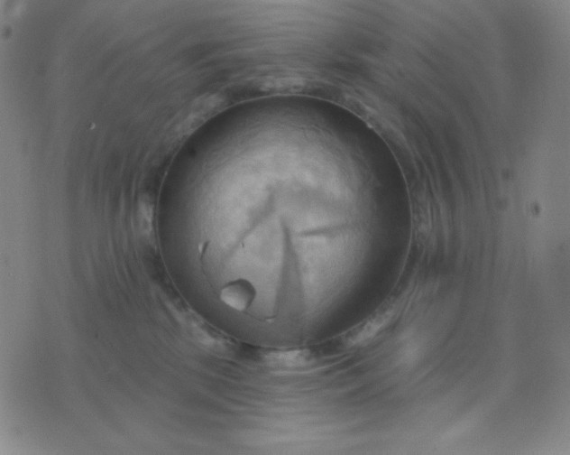 X0000076220281200610122057