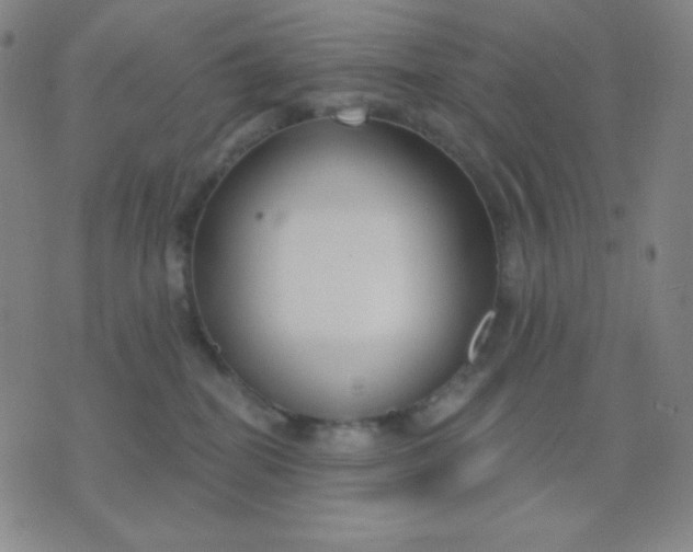 X0000076220282200610122057