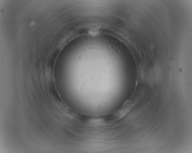 X0000076220283200610122057