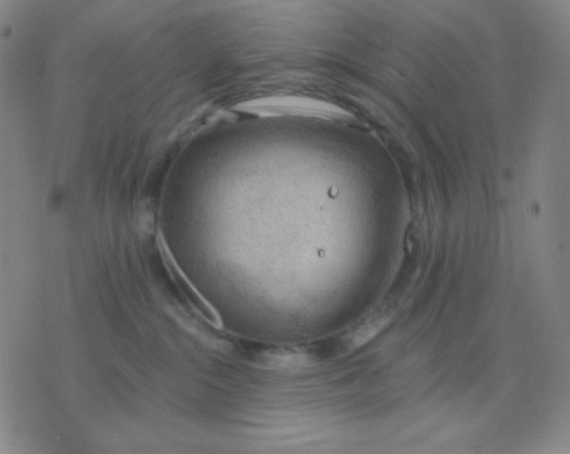 X0000076220284200610122057