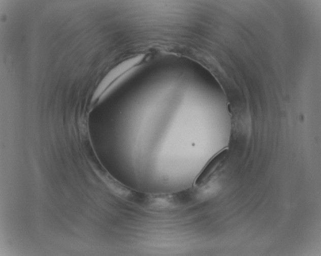 X0000076220285200610122057