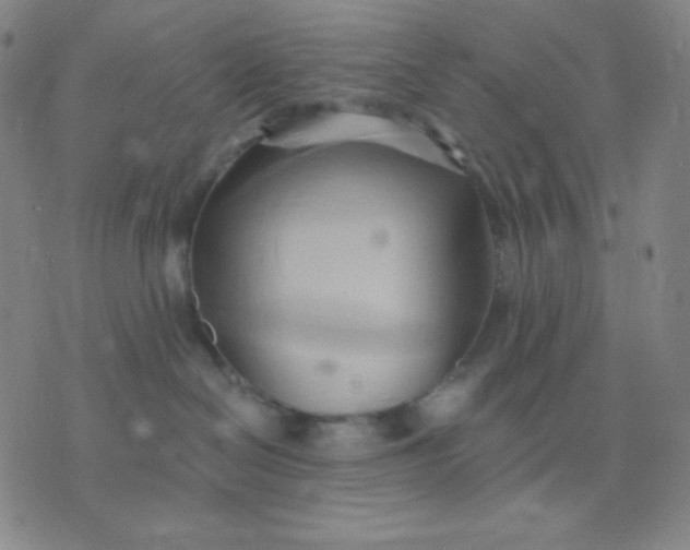 X0000076220286200610122057