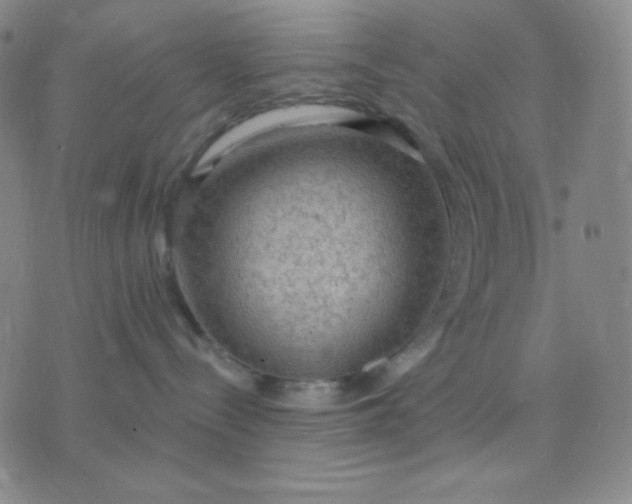 X0000076220288200610122058