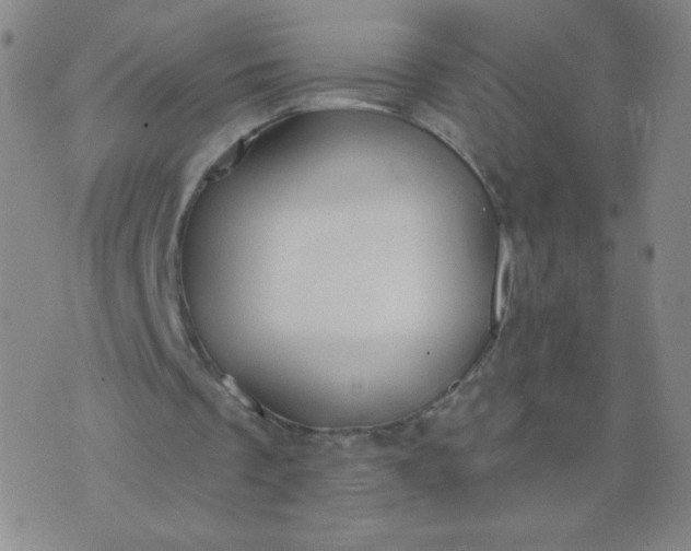 X0000076220289200610122057