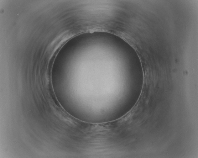 X0000076220290200610122057