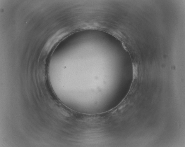 X0000076220291200610122057