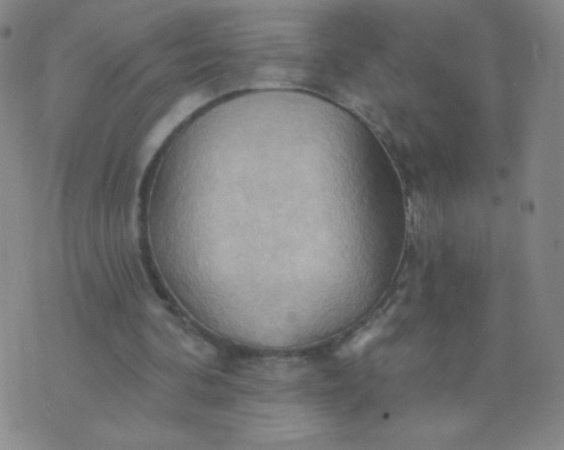 X0000076220292200610122057