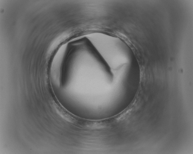 X0000076220293200610122057