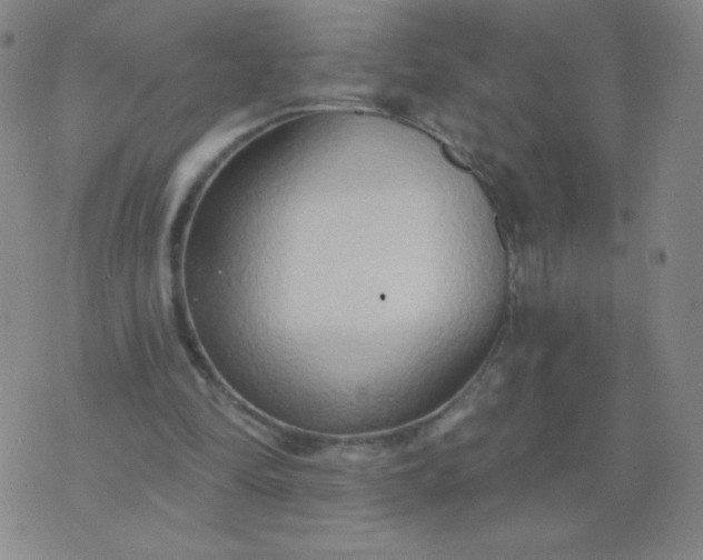 X0000076220294200610122057