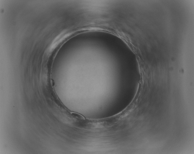 X0000076220295200610122057