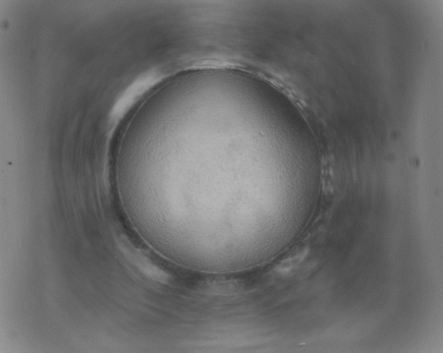 X0000076220296200610122057