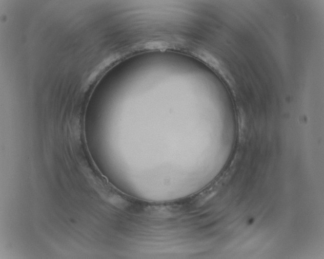 X0000076220297200610122057