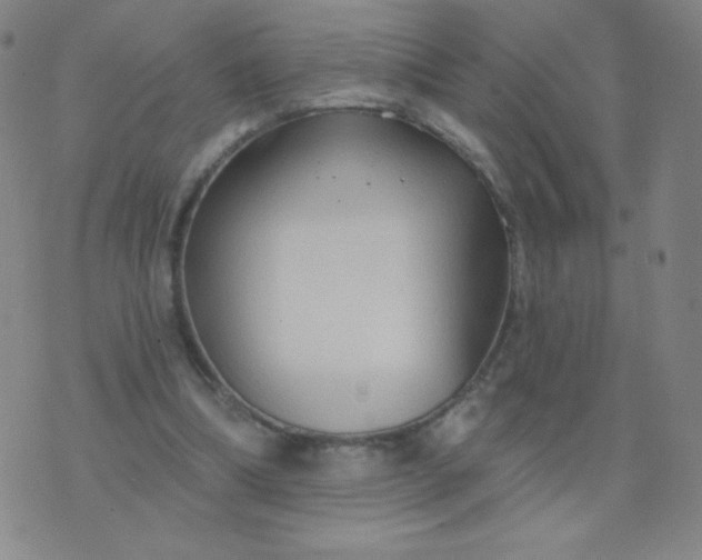 X0000076220298200610122057