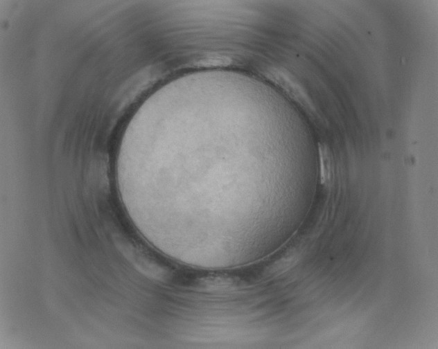 X0000076220300200610122057