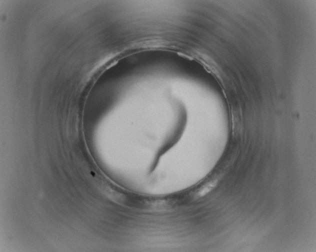 X0000076220301200610122057