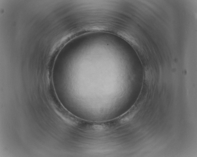 X0000076220302200610122057