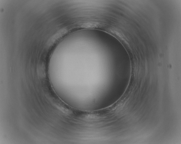 X0000076220303200610122057