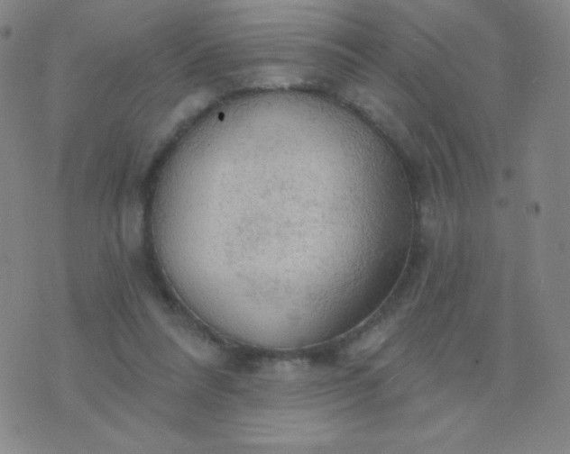 X0000076220304200610122056