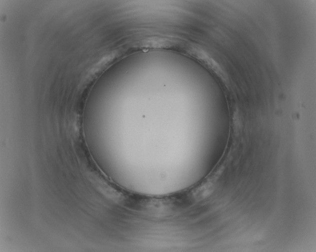 X0000076220305200610122056