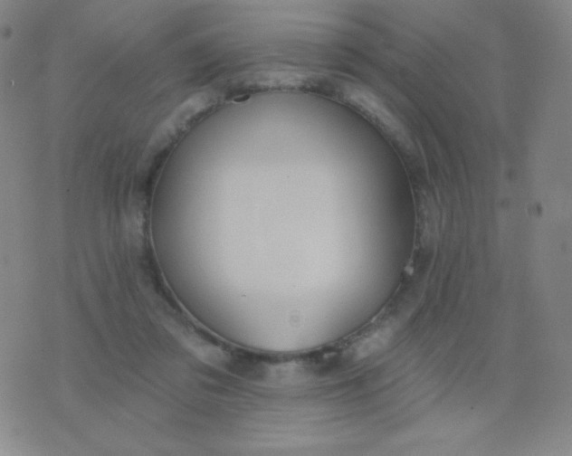 X0000076220309200610122056