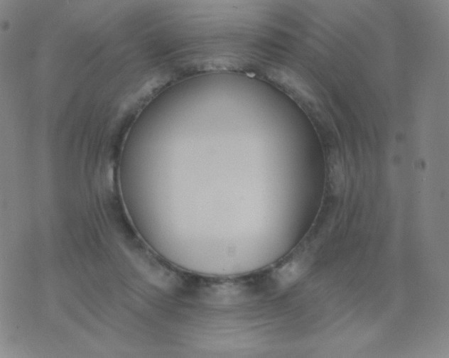 X0000076220310200610122056